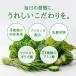 �` �v���Z���^����` �P���̐`�@3�O����30�����~2�Z�b�g �唞��t�` �` �` ���Y ��؁@2�Z�b�g���w���̍ۃ��[����2�ʂł��͂��ƂȂ�܂�  ���� �֘A�摜3