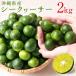 si-k.-sa- синий . примерно 2kg Okinawa префектура производство производство человек прямая поставка si-kwa-sa-si-k Arthur синий порез . плоды бесплатная доставка 