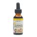  бесплатная доставка ребенок для ekrektik эхинацея Kids подбородок ki жидкий 30ml 1oz BlackBerry трава eki нет a детский supplement стандартный товар 