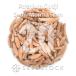 [ семена ]ateniumgojix snow mon тигр носорог amAdenium Godji x Snow Montra Siam 20 шарик l. корень растения ko- Dex 