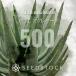 [ семена ] алоэ Acre a-taAloe aculeata 500 шарик l суккулентное растение алоэ редкий товар вид декоративное растение реальный сырой 