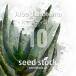 [ семена ] алоэ tikotomaAloe dichotoma 10 шарик l суккулентное растение алоэ . корень растения ko- Dex реальный сырой 