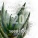 [ семена ] алоэ tikotomaAloe dichotoma 20 шарик l суккулентное растение алоэ . корень растения ko- Dex реальный сырой 