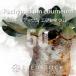 [ семена ]pakipotiumeb Rene umPachypodium rosulatum var. eburneum 50 шарик l. корень растения ko- Dex белый .