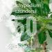 [ семена ]pakipotium солнечный Dell si-Pachypodium saundersii белый лошадь замок 50 шарик l популярный . корень растения начинающий OK прорастание легко 