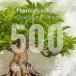 [ семена ]fito лак Dio кальмар Phytolacca dioica 500 шарик l. корень растения ko- Dex Mexico yama лопух редкий реальный сырой 