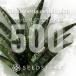 [ семена ] солнечный sebe задний echiopikaSansevieria aethiopica 500 шарик l. лист серия декоративное растение солнечный sebe задний . реальный сырой редкий вид 