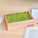  культивирование комплект салон мох мокрый Moss террариум мох комплект GD-670 садоводство koke оценка .. поддон . ручная работа интерьер модный взрослый .