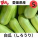  есть перевод восточная маринованная дыня .... примерно 5kg Ehime префектура производство Nara .. солености tsukemono уксус. предмет . предмет / наклон рейс рассылка 