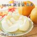 [ ваш заказ ][WF] Tottori префектура производство новый . Izumi [ синий превосходящий ] 2kg(5~6 шар ) | надеты день указание не возможно / Okinawa * отдаленный остров рассылка не возможно / 8 месяц последняя декада .. последовательный отгрузка 