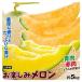  melon approximately 5kg. inside pleasure melon Yamagata production free shipping food 