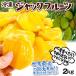  freezing Jack fruit 2kg Vietnam production 500g×4 sack palamitsu wave . molasses Frozen food freezing flight free shipping 