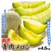  melon approximately 4.5kg carefuly selected blue meat melon Anne tes melon takami melon . after green melon any 1 goods kind Kumamoto * Ibaraki production . home use free shipping food country ..
