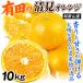  мандарин 10kg Arita. Kiyoshi видеть Kiyoshi видеть orange ... Wakayama производство . для бытового использования название производство земля весна ... толщина ju-si-mi can .. бесплатная доставка еда страна ..