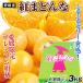  мандарин Ehime производство .. какой 3kg бесплатная доставка еда 