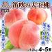 mo.4~5 шар .. Chan. дудка дуть. большой шар персик Yamanashi производство примерно 1.2kg 7 месяц сверху ~ средний . отправка товар вид случайный pi-chi фрукты фрукты бесплатная доставка еда 