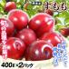 mo. sumomo 800g Kumamoto производство товар вид случайный слива кожа .......(400g×2 упаковка ) рефрижератор рейс бесплатная доставка еда 