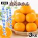  мандарин Ehime производство подлинный дыра мандарин 3kg. для бытового использования бесплатная доставка подарок небо . кубок выигрыш производство земля ..... еда страна ..