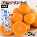  мандарин Ehime производство прекрасный тест Princess 3kg. для бытового использования бесплатная доставка . Princess такой же товар вид еда страна ..