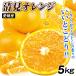  мандарин Ehime производство сильно сниженная цена Kiyoshi видеть orange 5kg. для бытового использования бесплатная доставка ... еда страна ..