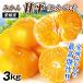  мандарин Ehime производство сильно сниженная цена . flat 3kg. для бытового использования бесплатная доставка .... can pei еда страна ..