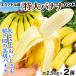  banana 2.eka доллар производство очень большой banana сильно сниженная цена 1. примерно 2.5kg передний и задний (до и после) . для бытового использования рука banana высота . культивирование осуществлен высококлассный banana ......kok.. бесплатная доставка еда 