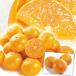 みかん 愛媛産 せとか（10kg）ご家庭用 無選別 えひめ 柑橘 かんきつ フルーツ 国華園
ITEMPRICE