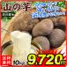 ya... Ishikawa производство др. гора. клубень 10kg 1 коробка бесплатная доставка еда страна ..