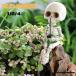  Halloween украшение Skull украшение голова крышка ... каркас .. голова gaikotsu рыбалка изображение 1/2/4 шт. комплект настоящий миниатюра фигурка сад орнамент Skull орнамент 