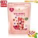 [WISSOTZKY TEA] wild Berry - - bar чай большая вместимость 50 пакет входить чайный пакетик Cafe in свободный человеческий труд ароматические вещества не использование hot лёд черный чай чай упаковка [ затраты ko]