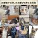 �L �� ��� ��t�� �{���{�� �{���{�� �V���V�� ���S �_�炩�� �Z�[�t�e�B �q �l�R �y�� �˂� �X�g���X �t���[ �֘A�摜1
