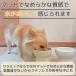 �y�b�g �� �L �p �� �H�� �G�T �a ���� ���� �� �M �t�[�h �{�E�� �{�[�� ���� �H�ׂ₷�� �� �� �֘A�摜5