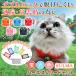  кошка шлейка с поводком прогулка для оторван, отходит нет [ все товар 2 шт .5% off ]. .. нет двойной блокировка .. кошка шлейка . кошка 