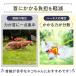 �L �p �� �n�[�l�X ���[�h �U�� �O��Ȃ��E���Ȃ� �_�u�����b�N  �˂� �l�R ���� �q�L �֘A�摜3