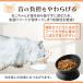 �y�b�g �� �L �p �� �H�� �G�T �a ���� ���� �� �M �t�[�h �{�E�� �{�[�� ���� �H�ׂ₷�� �� �� �֘A�摜2