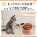 �y�b�g �� �L �p �� �H�� �G�T �a ���� ���� �� �M �t�[�h �{�E�� �{�[�� ���� �H�ׂ₷�� �� �� �֘A�摜3
