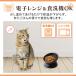 �y�b�g �� �L �p �� �H�� �G�T �a ���� ���� �� �M �t�[�h �{�E�� �{�[�� ���� �H�ׂ₷�� �� �� �֘A�摜4