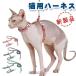  Lead комплект ошейник симпатичный выпадение нет soft ... Harness животное простой переустановка тип тяга трос выход цветочный принт 