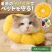  ветеринарный воротник кошка собака soft . после одежда красочный собака для цвет для домашних животных soft ветеринарный воротник ... модный 