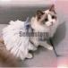  сетка бак репеллент домашнее животное одежда майка безрукавка тонкий cut and sewn тянуть over "дышит" кошка для европейская одежда симпатичный симпатичный 