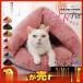 �y�b�g�x�b�h �� �L �ӂ�ӂ� �g�� �y�b�g�n�E�X �L�x�b�h �y�b�g�p�i �l�R �L���b�g �x�b�h �Q�� �����p ������� �~�p �����肱�� �L�p�x�b�h
