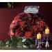  wellcome маленький подарок бордо rose 50 шт. комплект hf60501