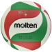 moru тонн (molten) волейбол Pro Touch 5 номер лампочка V5M4550