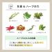 ���S�~ ���L �h�� ���� �n�[�u ���R�R������ �I�[�K�j�b�N ���L�� ���S�~�o�C�I���L 420�� 3�Z�b�g �֘A�摜5