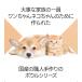 �I�[�J�b�c aukatz �w���X�E�H�[�^�[ �t�[�h�{�E�� �{�E�� �I�ׂ�T�C�Y S M L �� �L �C�k �l�R �y�b�g �H�� ������ ���M �a�M ���� �G�T���� �a���� ���� �֘A�摜2