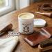 ���i�p�[ ���U�[�g���[�g�����g 250ml �v���� ������� ��v�p�g���[�g�����g�N���[�� Renapur �����e�i���X�p�i �ۊv �h�{ ���o��