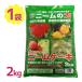 �엿 �y����� �L�@�엿 �j�[���P�[�L 2kg �����^�C�v �K�N �� ���| ��� ���͍� �ϗt�A�� ���|�p�i �ʕ� ��