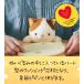 �ʂ������ �L�w �p�� ���� �T�|�[�g �ӂ�΂邸 L�T�C�Y �p�����P �{�f�B�[�P�A ���N�O�b�Y �r�W�l�X �f�X�N���[�N �׋� ��邩�� ���킢�� �֘A�摜4