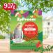 z шкив m фрукты Blend Mo черепаха длиннохвостый попугай 907go черепаха длиннохвостый попугай предназначенный pe let 