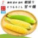  кукуруза .......... Shizuoka префектура пакет . лес блок утро .. иллюзия. кукуруза 5kg.. кукуруза ограниченное количество 